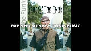 Year Of The Funk Mix Album - Popping Mett - Popping music