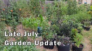 Mid July Garden Update and Tour - Lots of Tomatoes, Peppers, and More