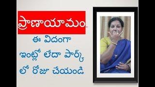 5 Types of Golden Breathing Exercises - In Telugu