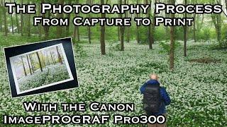 Misty Woodland Photography in Wild Garlic. Capture to PRINTING with the Canon imagePROGRAF Pro300