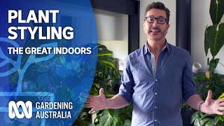 Make indoor plants pop with these style and design tips | The Great Indoors | Gardening Australia