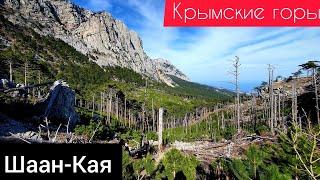 4K Прогулка до горы Шаан-кая | Крымские горы | Алупка 2021 |