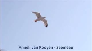 Anneli van Rooyen - Seemeeu