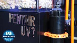 It’s BRS Recommended - The Pentair UV Sterilizer...(formerly Emperor Aquatics UV)