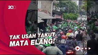 Apa Itu Mata Elang dan Bagaimana Cara Menghadapinya?