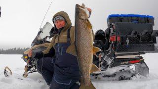 Crazy Ice Fishing Lake Trout Action