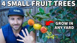 4 AMAZING Fruit Trees People With SMALL YARDS Can Grow!
