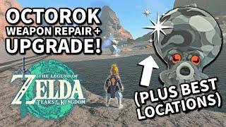 TOTK: EASY Octorok Weapon Repair & Upgrade Tutorial + BEST LOCATIONS – Legend of Zelda Guide