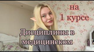 Дисциплины в медицинском /1 курс