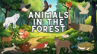 Forest animal names and sounds | Meet the animals | Fun Learning for Toddlers & Preschoolers