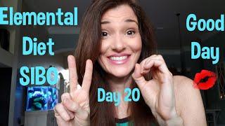 Elemental Diet SIBO Diary Day 19-20 | Lisa Monoson