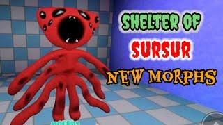 SHELTER OF SURSUR RP NEW SECRET MORPHS