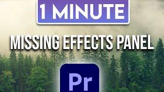 Missing Effects / Effect Controls panel in Premiere Pro 2024