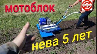 МОТОБЛОК НЕВА СПУСТЯ 5 ЛЕТ // ЧЕСТНЫЙ ОТЗЫВ