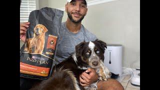 Purina Pro Plan, Chicken and Rice Review By My Dog Kona