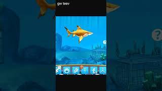 New Hungry Shark World| Updates Shorts maxx level Gw Teev #shorts