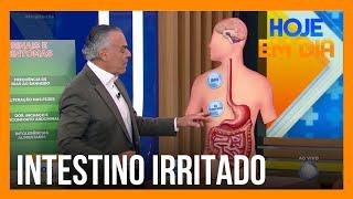 Você e o Doutor: Saiba o que fazer para evitar problemas no intestino