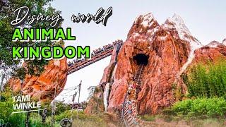 Disney's Animal Kingdom RIDES, Tours & ATTRACTIONS 2024 | Walt Disney World