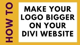 Change the size of the logo on your Divi website