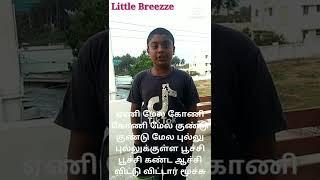 நா பிறழ் பயிற்சி | Tongue Twister | டங் ட்விஸ்டர் | Tamil activity #ITK #littlebreezzetamil