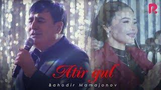 Bahodir Mamajonov - Atirgul | Баходир Мамажонов - Атиргул (Yangi yil kechasi 2019) #UydaQoling