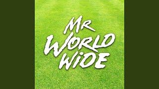 Mr Worldwide