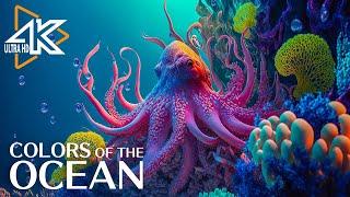 The Ocean 4K - The Amazing Creatures of the Sea - Relaxing Sleep Meditation Music #3