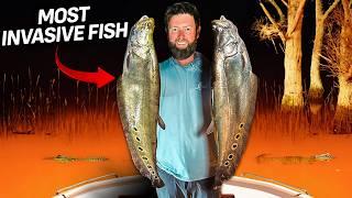 I Went Bowfishing For America's Most Invasive Fish