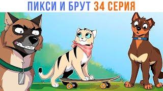 ПИКСИ И БРУТ. 34 серия. Комиксы | Мемозг 1419