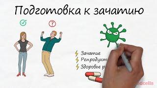 Подготовка к зачатию. Анализы для мужчин. Инфекции, спермограмма - RedCells ru