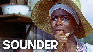 Sounder | Depression Era Family Drama | Classic Film