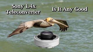 Sony 1 4x Teleconverter - Is It Any Good
