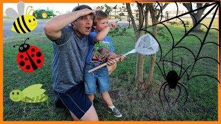 Bugs for kids | Bugs and crawly things for children | Finding insects