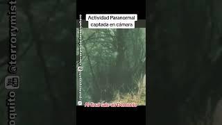 Actividades paranormales en cámara  #paranormal #fantasma #terror