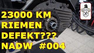 Neues aus der Werkstatt #004 Gates CDX Riemen  mit 23000 km & defektes Ampler Bike