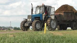 Removing manure with a MTZ "Belarus" tractor: One-two punch with manure! 