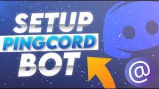 PINGCORD BOT SET UP|DISCORD TUTORIAL PT2