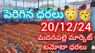 20-12-24 Madanapalle Tomato Market price Today || Today Tomato Market Rate in Madanapalle #today