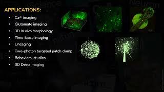 Publications from 2021 aided by Femtonics microscopes