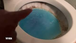 Splash FoamToilet Cleaner How To/Review