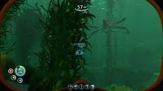 Subnautica - 4K - Ambushed by Reaper En Route to Seamoth