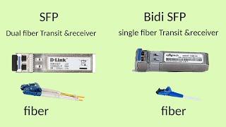 Exploring the Differences: SFP vs BiDi SFP