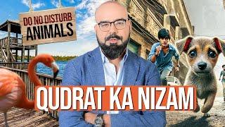 Qudrat Ka Nizam | Junaid Akram