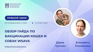 Обзор гайда по вакцинации кошек и собак WSAVA — Грачева Дарья