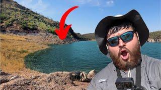 This Desert Lake is FULL of Fish? (Unexpected)