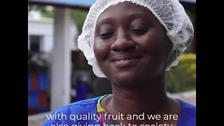 How UK company Blue Skies is helping to pick a ripe future in Ghana