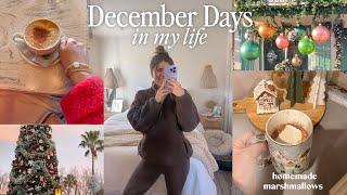 DAYS IN MY LIFE | marshmallow recipe, healthy eats, cozy holiday fun + tracking my hormones!