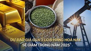 Dự báo giá của 3 loại hàng hoá này sẽ giảm trong năm 2025  | VTVMoney