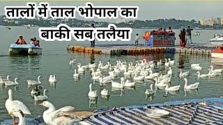 Bhopal Tal | History of Apper Lake Bhopal | भोपाल, बड़ा तालाब का पूरा इतिहास | Bhopal Madhya Pradesh