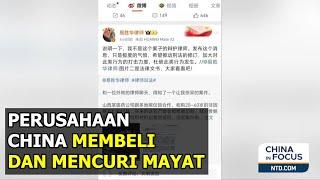 Perusahaan China Diduga Mencuri Mayat untuk Sumber Transplantasi